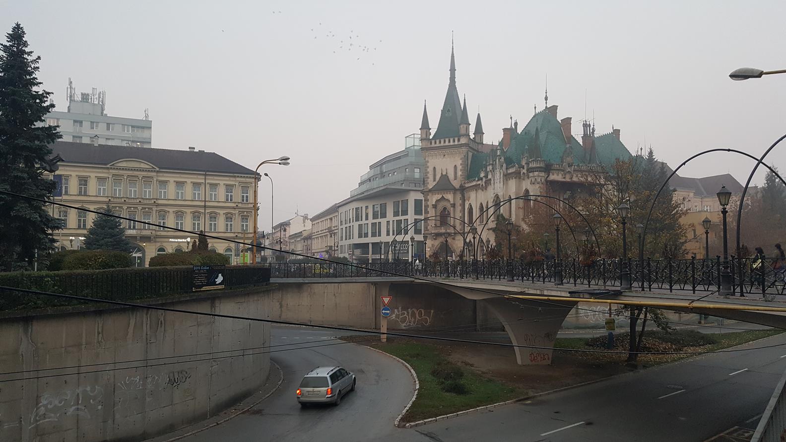 20171020_065853 (Copy).jpg