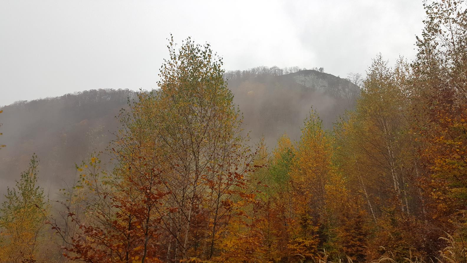 20171021_113527 (Copy).jpg