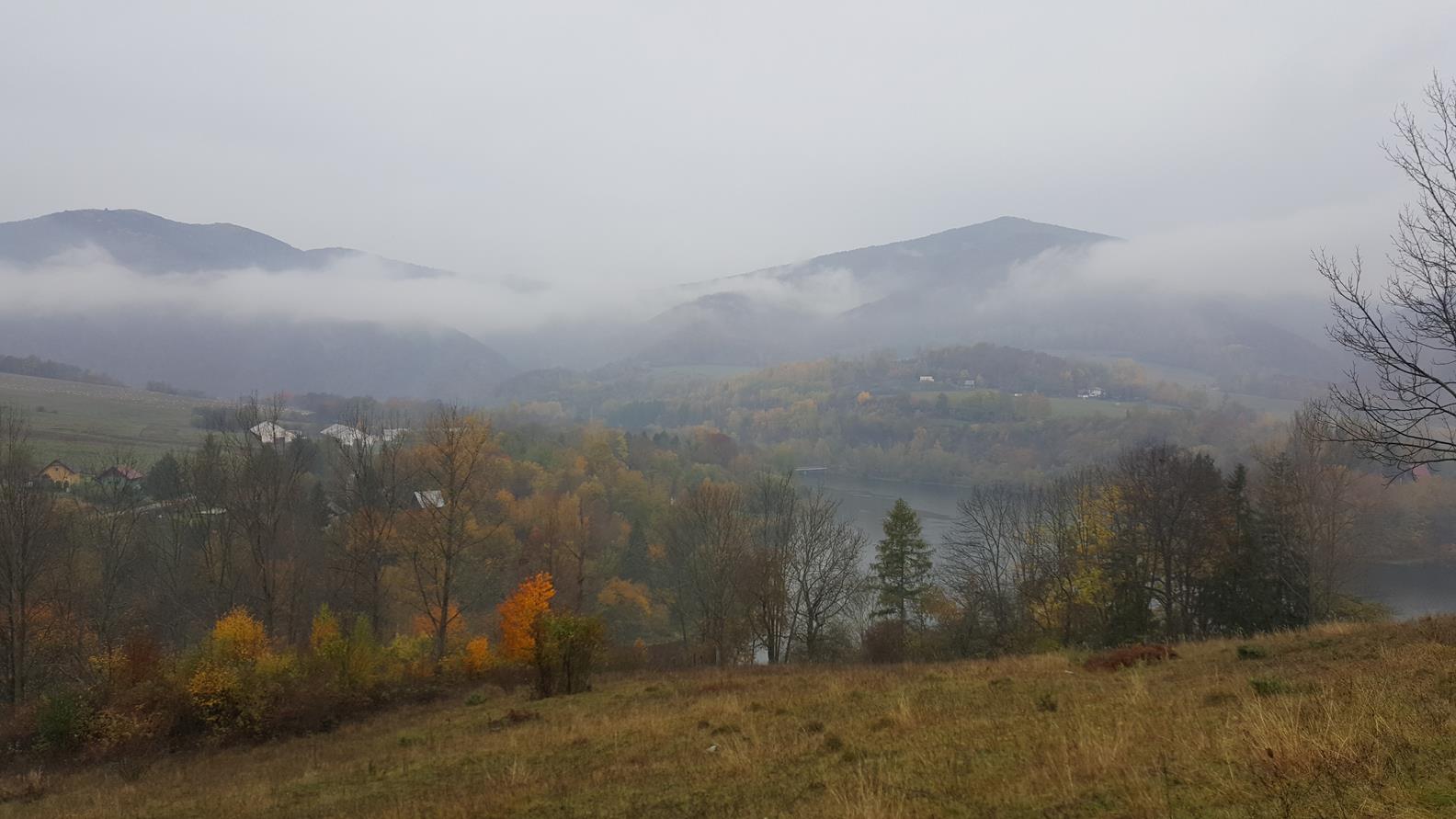 20171021_133613 (Copy).jpg