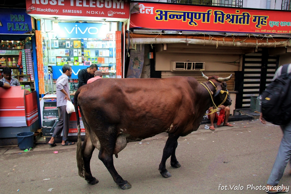 IMG_0462 - Mumbai.jpg