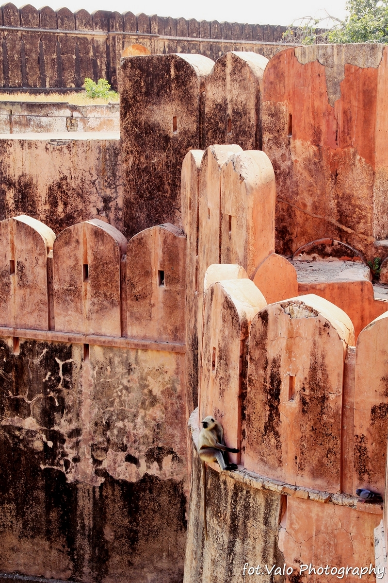 IMG_0672 - Jaipur - Jaigarh Fort.jpg