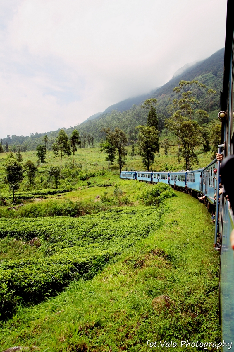 IMG_1197 - Sri Lanka.jpg