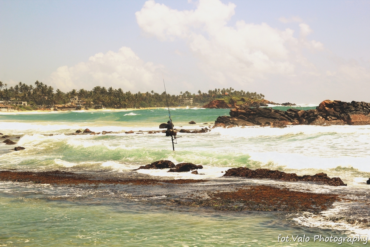 IMG_1258- Mirissa.jpg