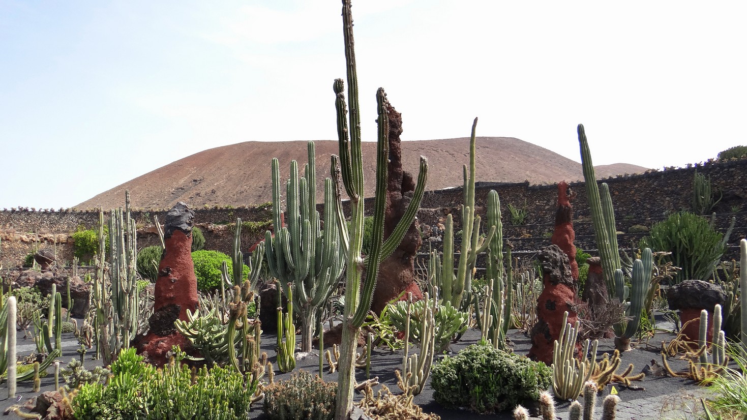 Lanzarote038.jpg