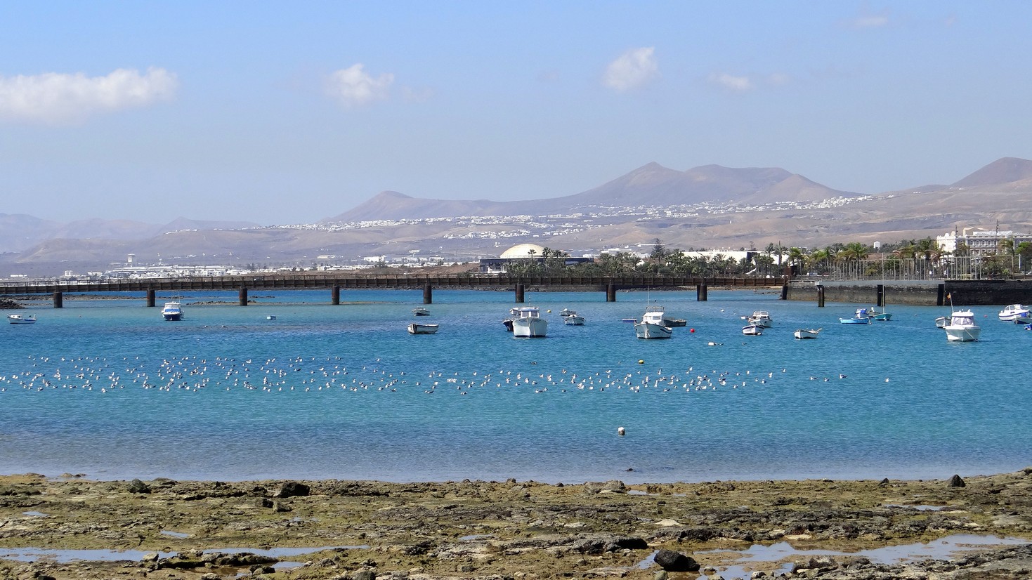 Lanzarote009.jpg
