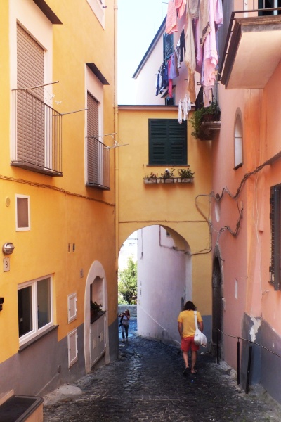 DSCF8519.jpg