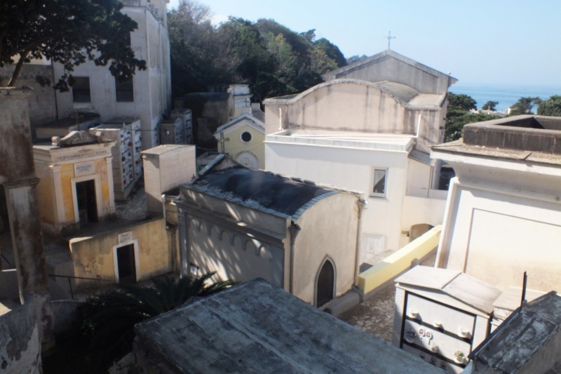 DSCF8521.jpg