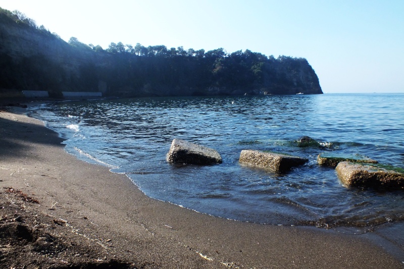 DSCF8525.jpg
