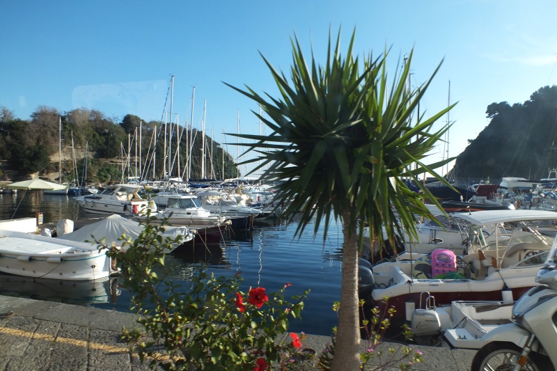 DSCF8559.jpg