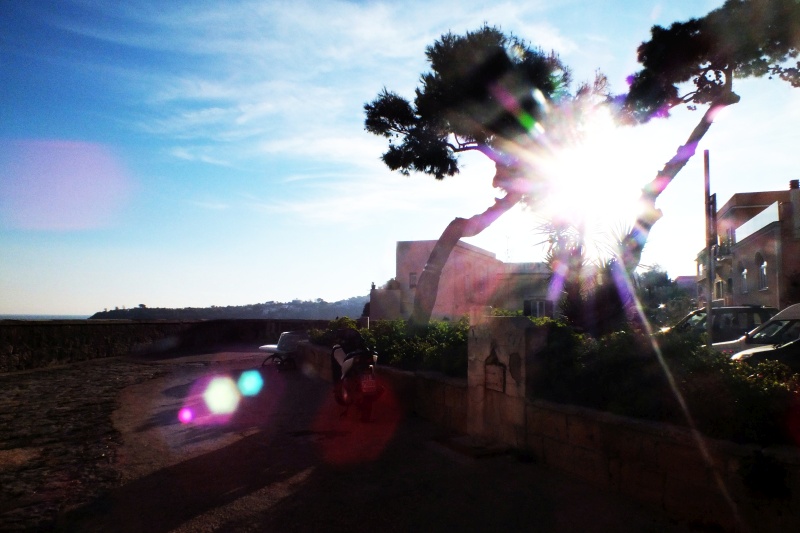 DSCF8567.jpg