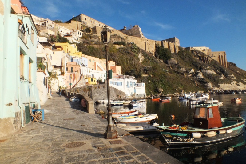 DSCF8580.jpg