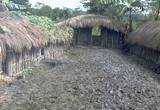baliem2 (Copy).jpg