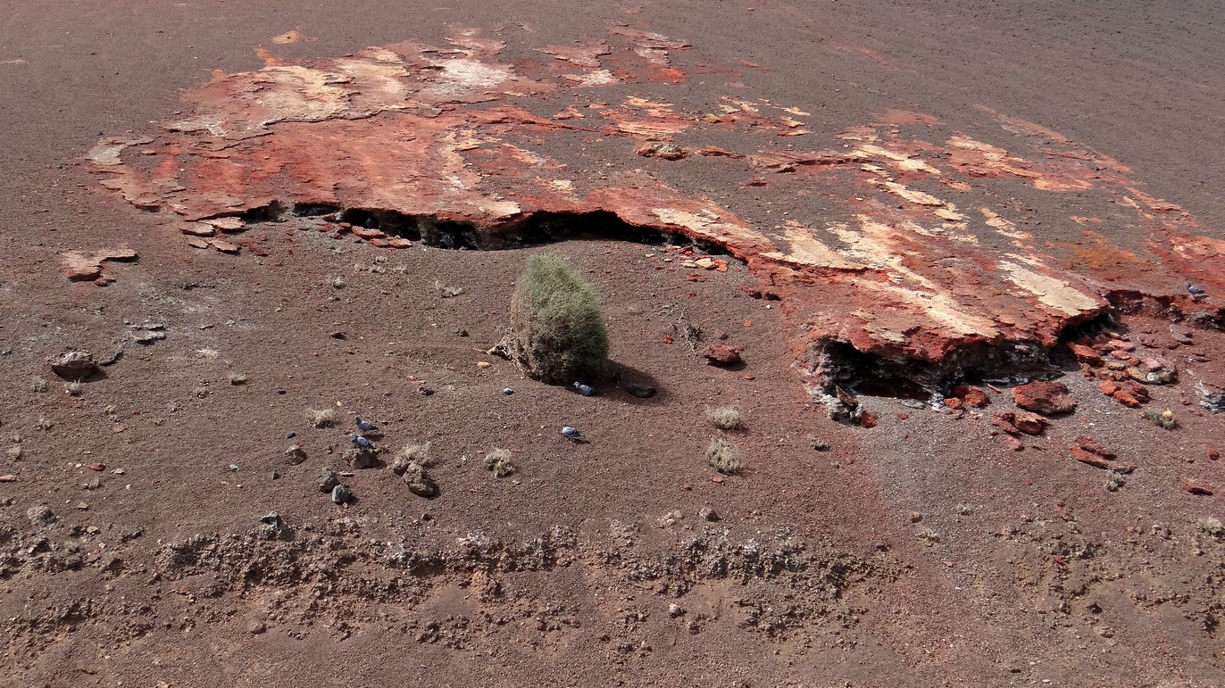 Lanzarote095.jpg