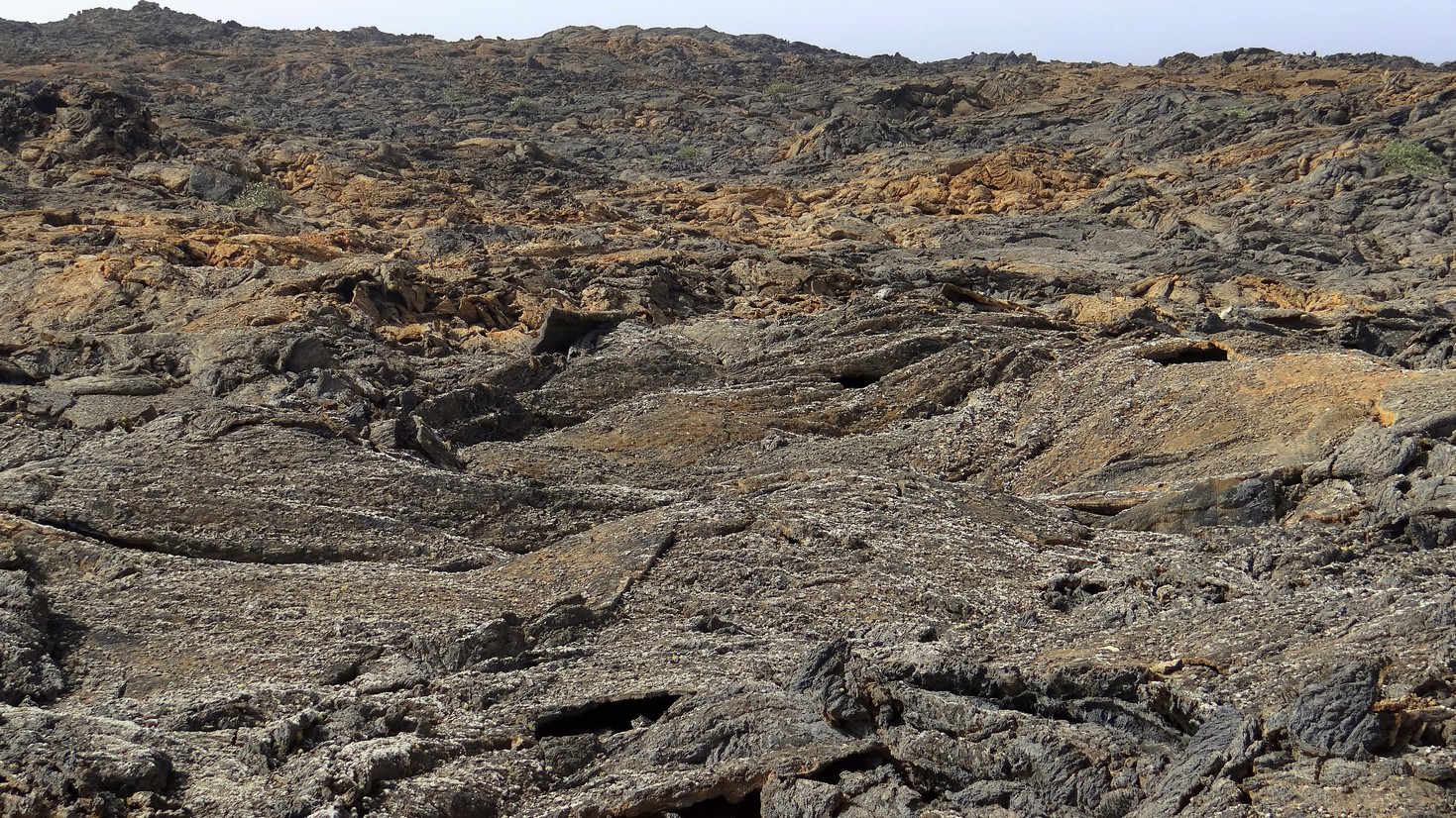 Lanzarote103.jpg