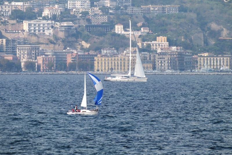 DSCF8621.jpg