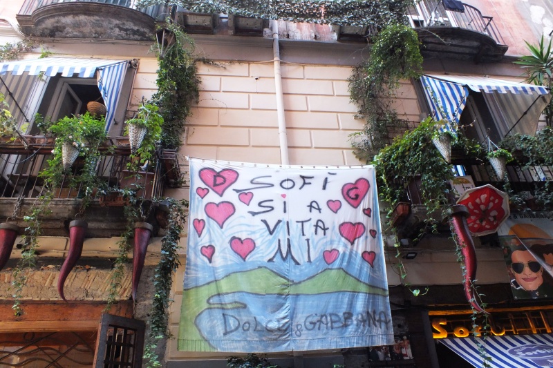 DSCF8681.jpg