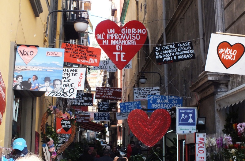 DSCF8703.jpg
