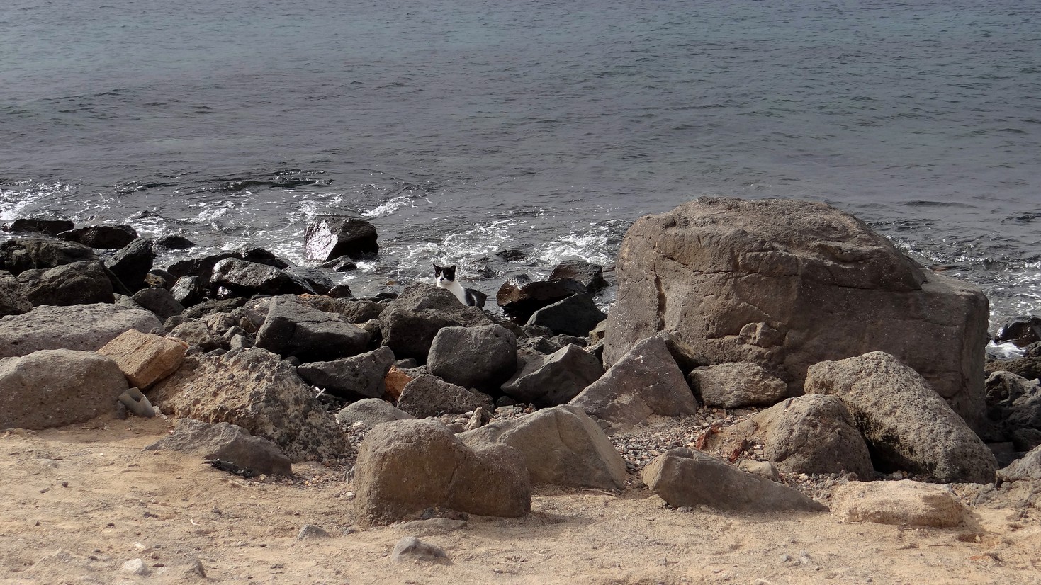 Fuerteventura05.jpg