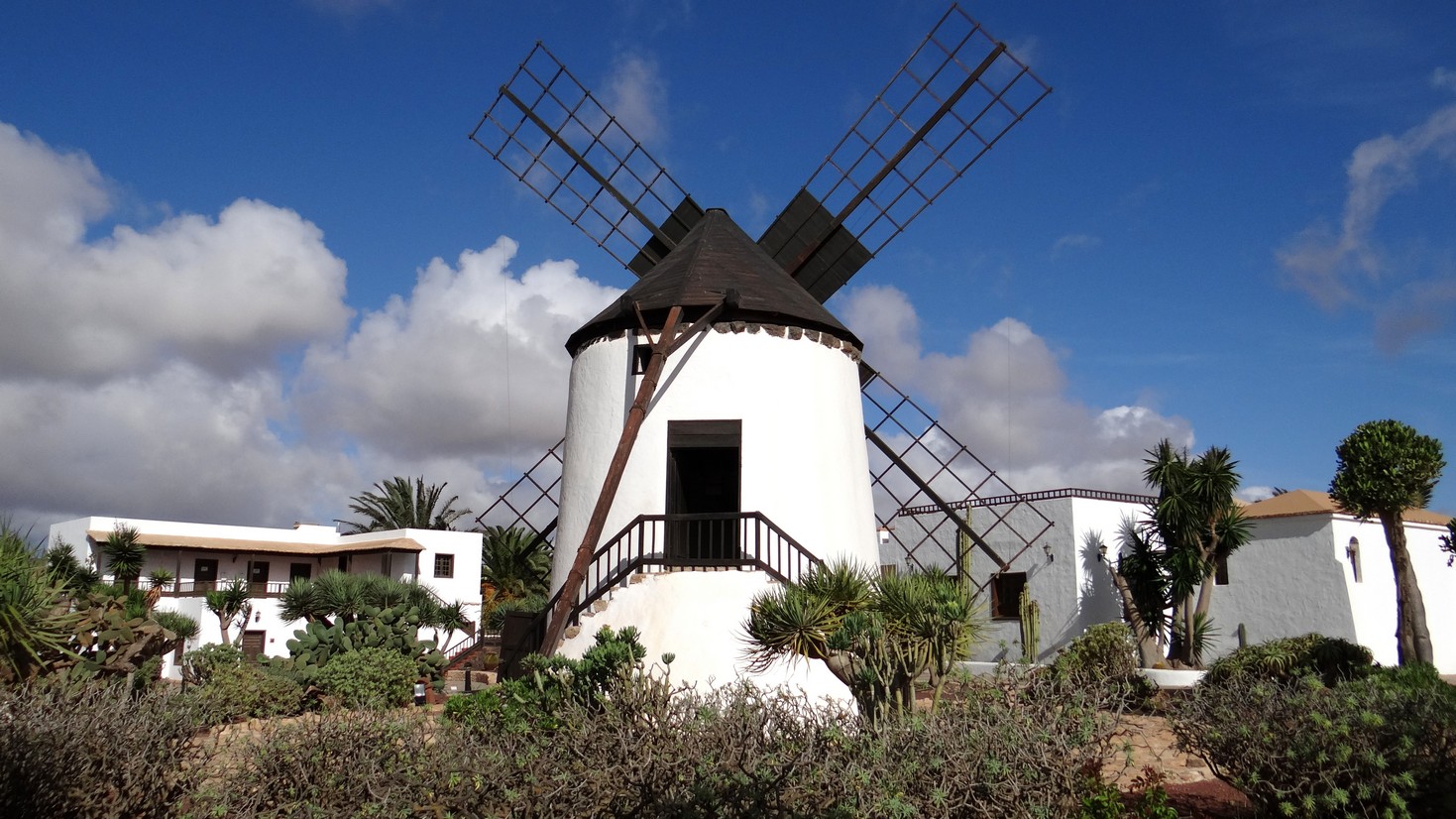 Fuerteventura42.jpg
