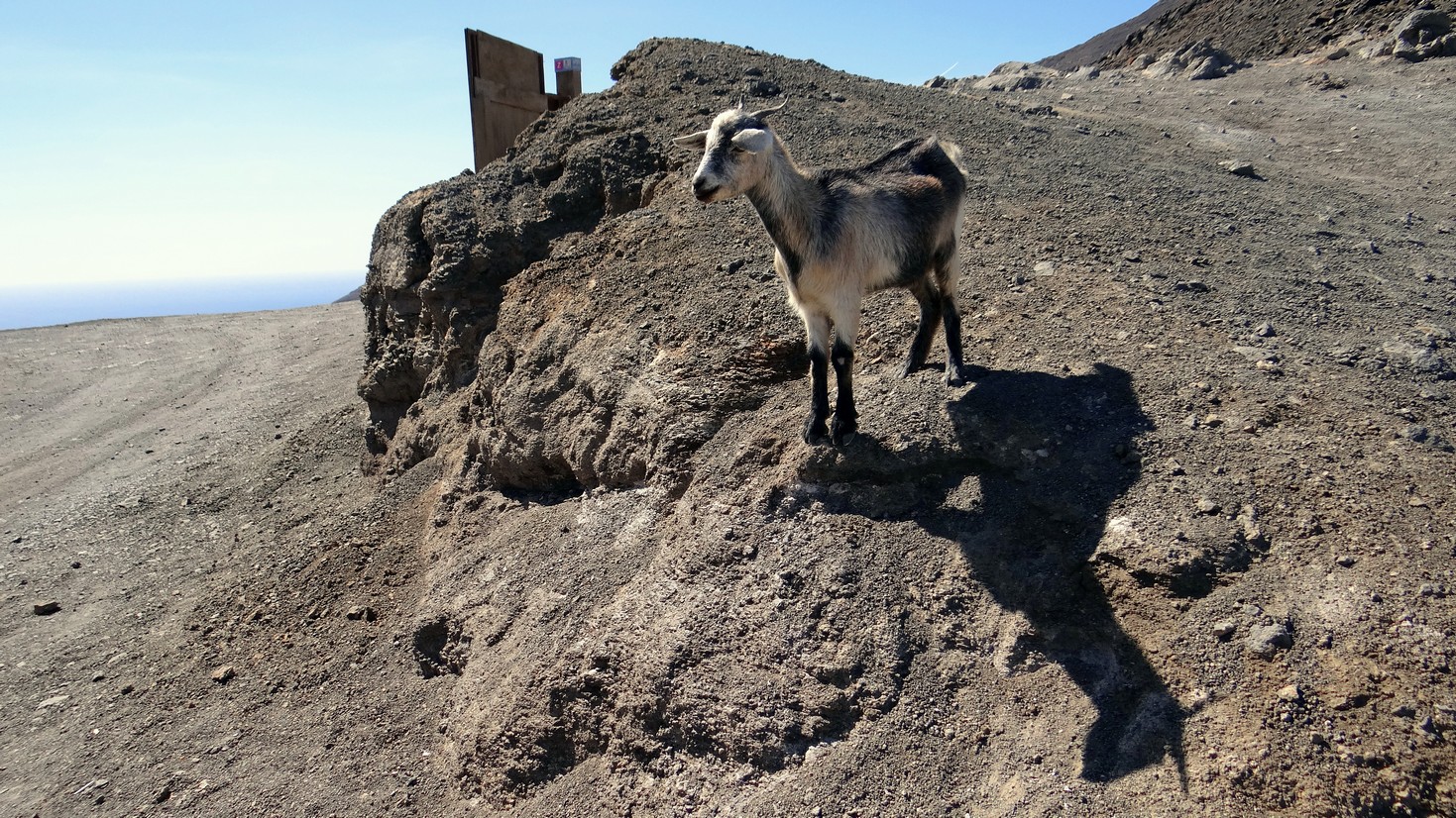 Fuerteventura22.jpg