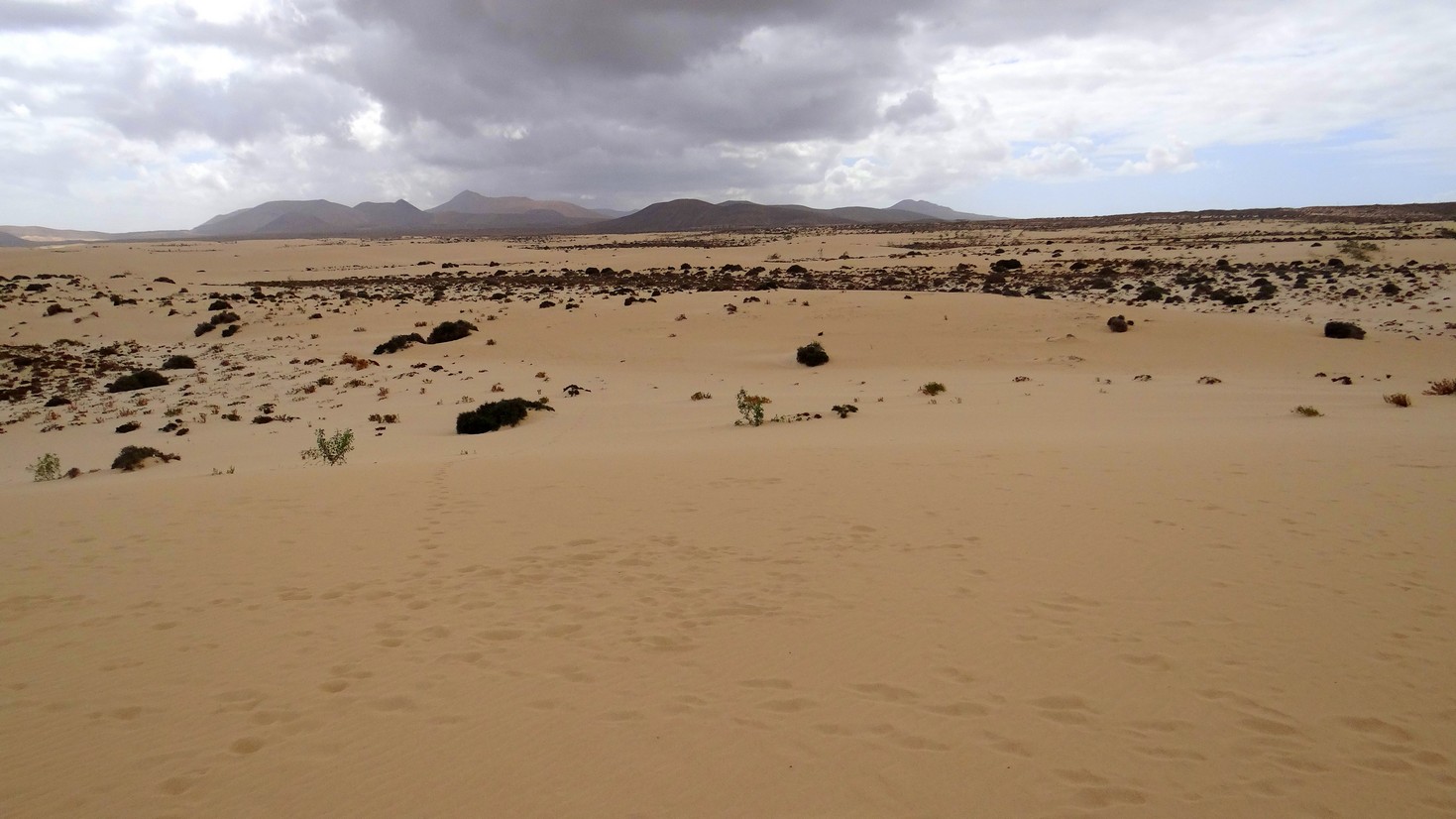 Fuerteventura69.jpg