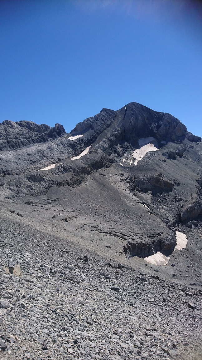 DSC_1598.JPG