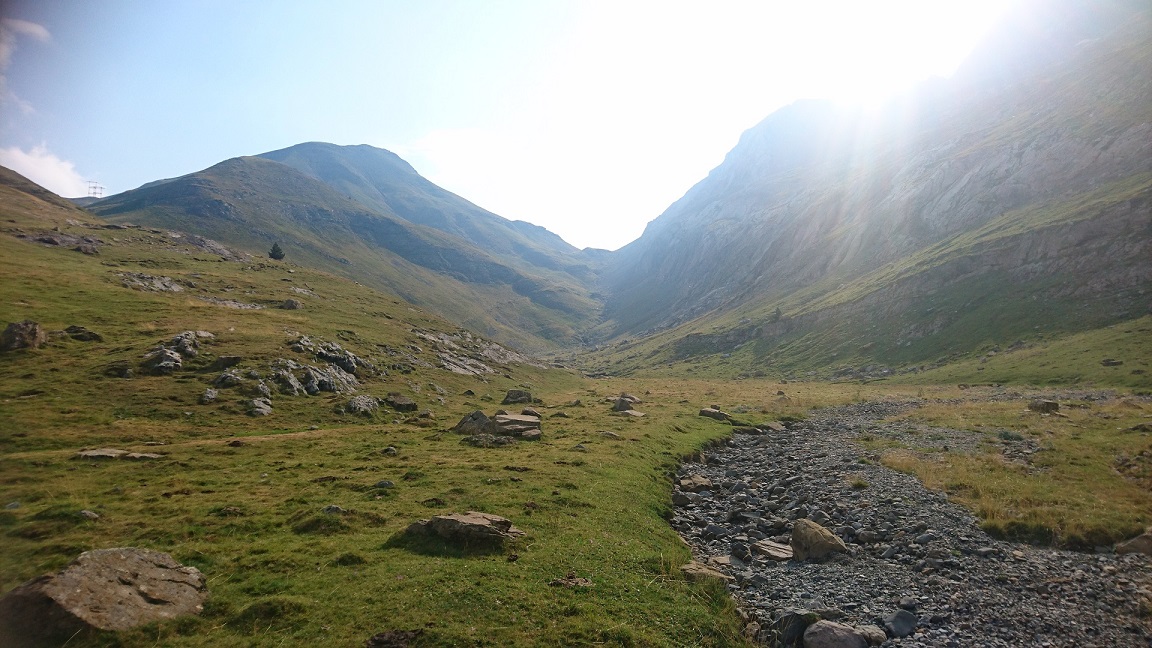 DSC_1665.JPG