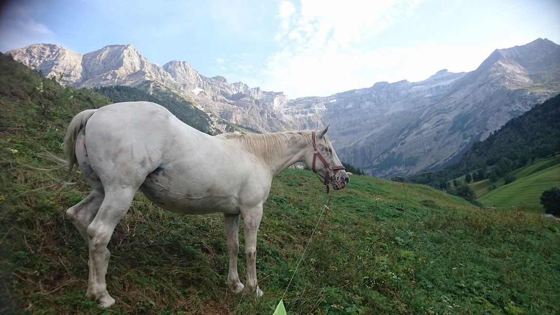 DSC_1714.JPG