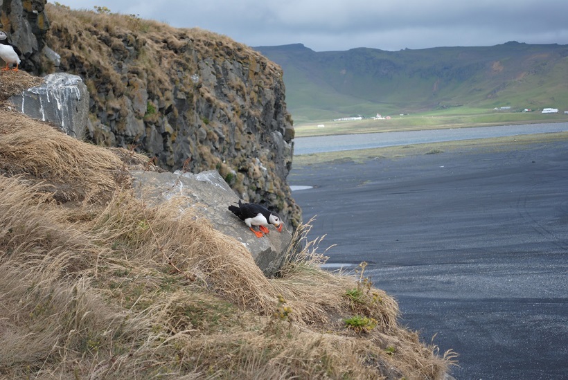 DSC_0130.JPG