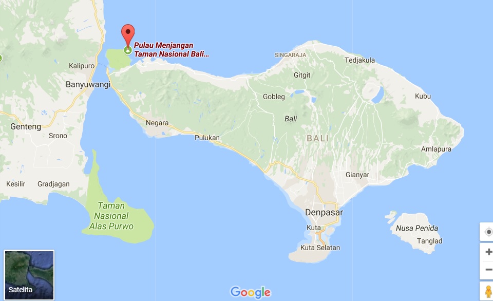 bali.jpg