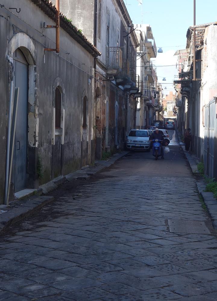 DSC09555.jpg