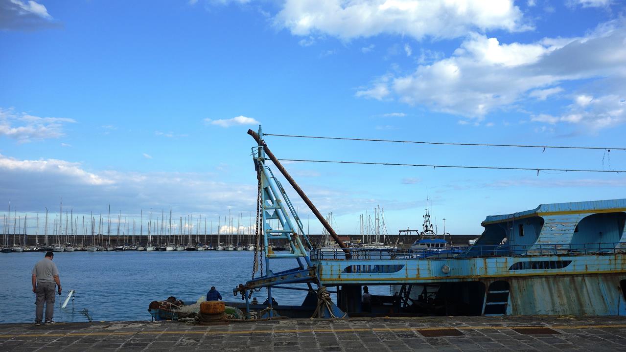 DSC09739.jpg