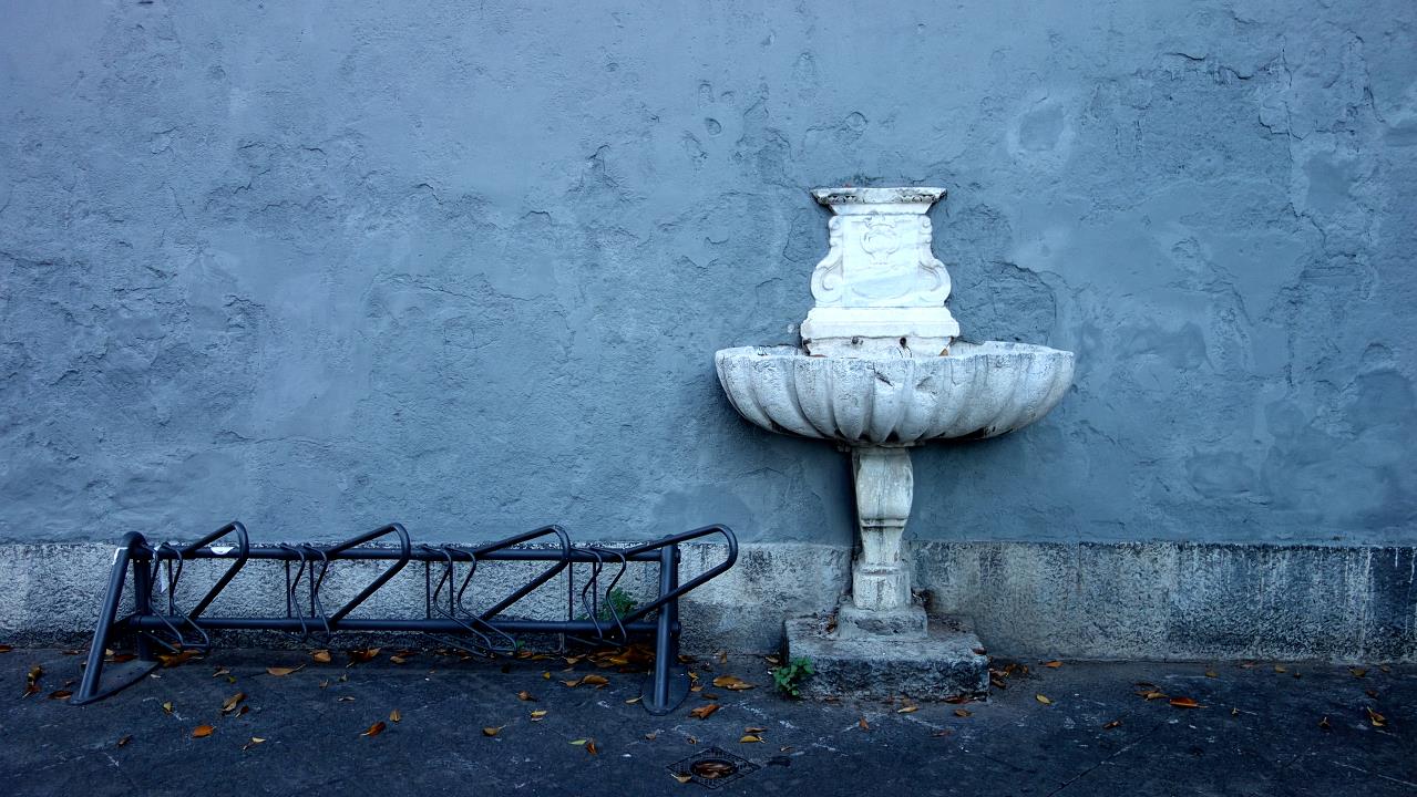 DSC09791.jpg
