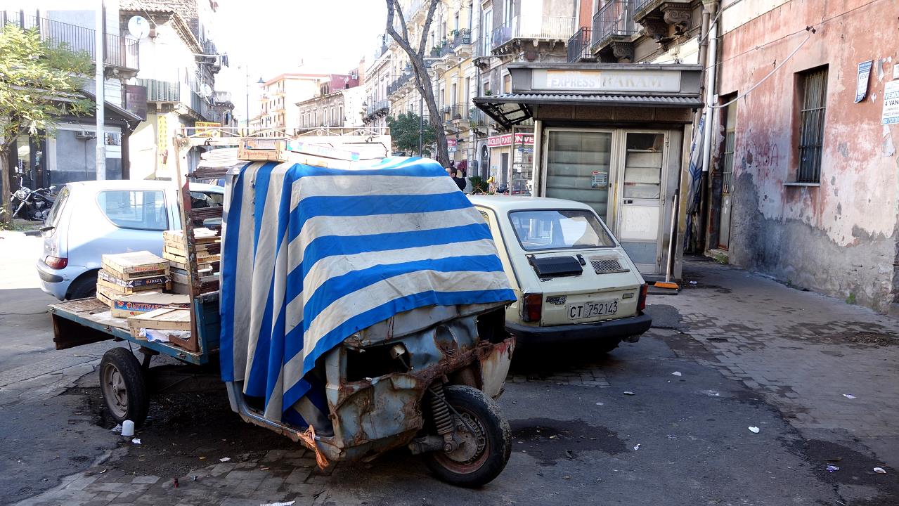 DSC09805.jpg
