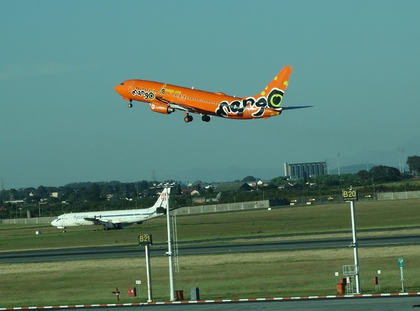flymango2.jpg