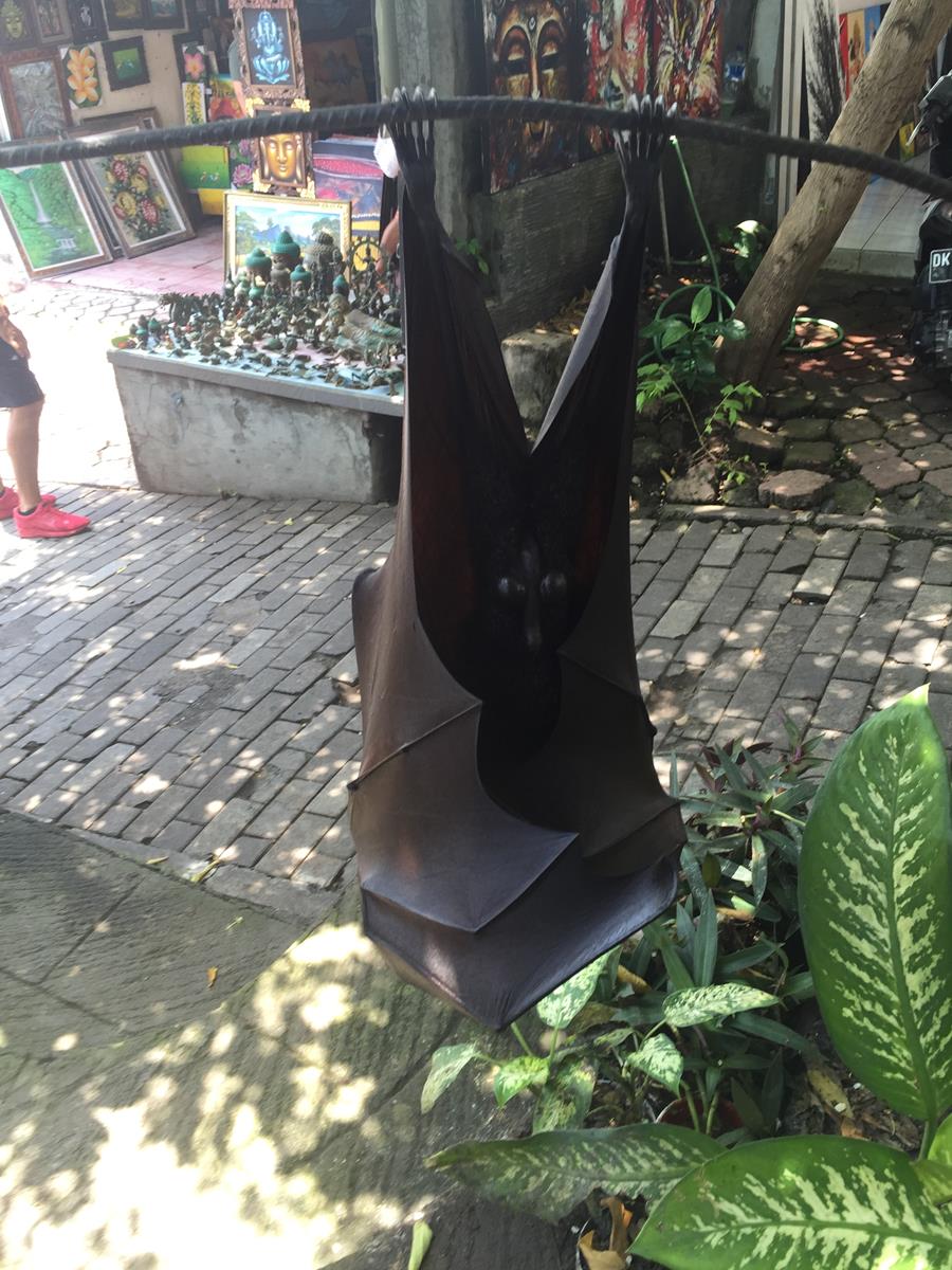 IMG_2073 (Copy).JPG