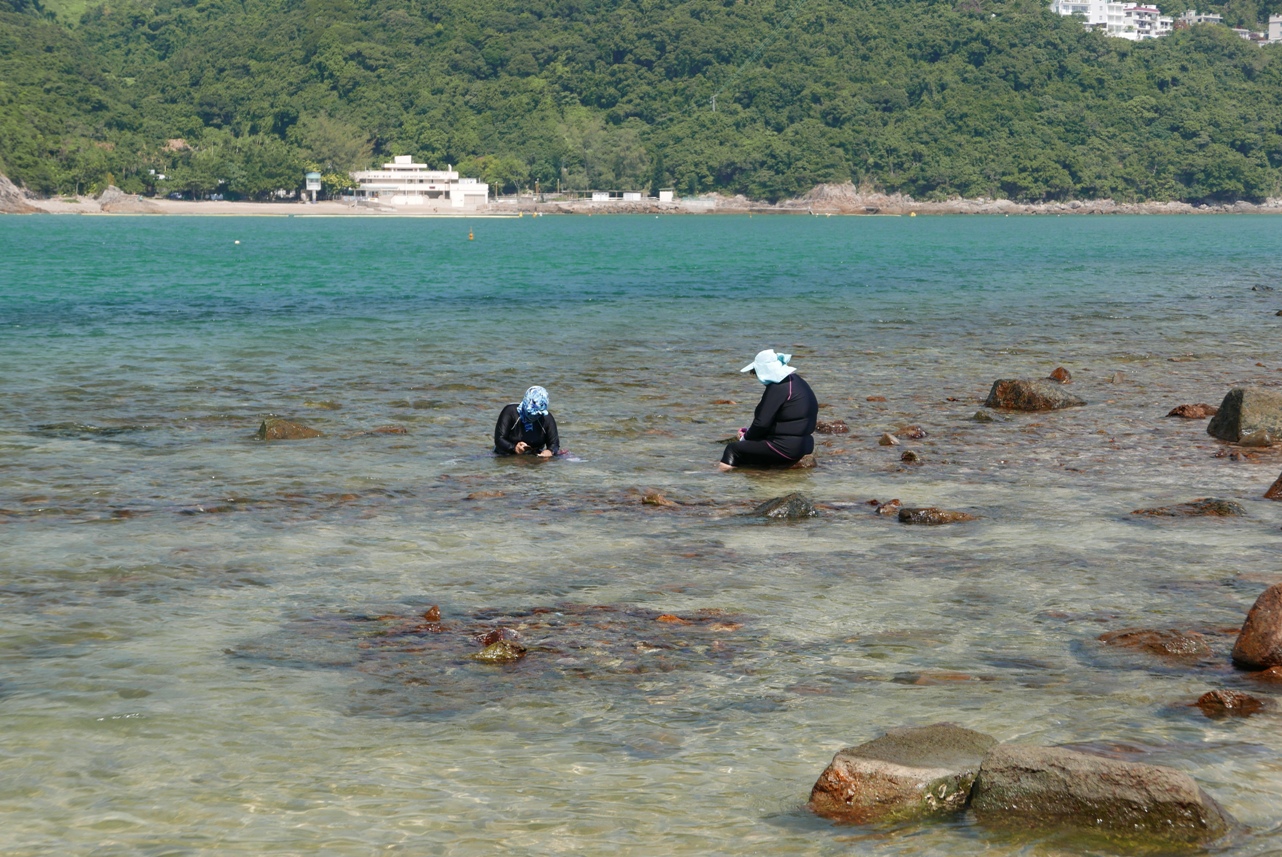 P1370384a.JPG