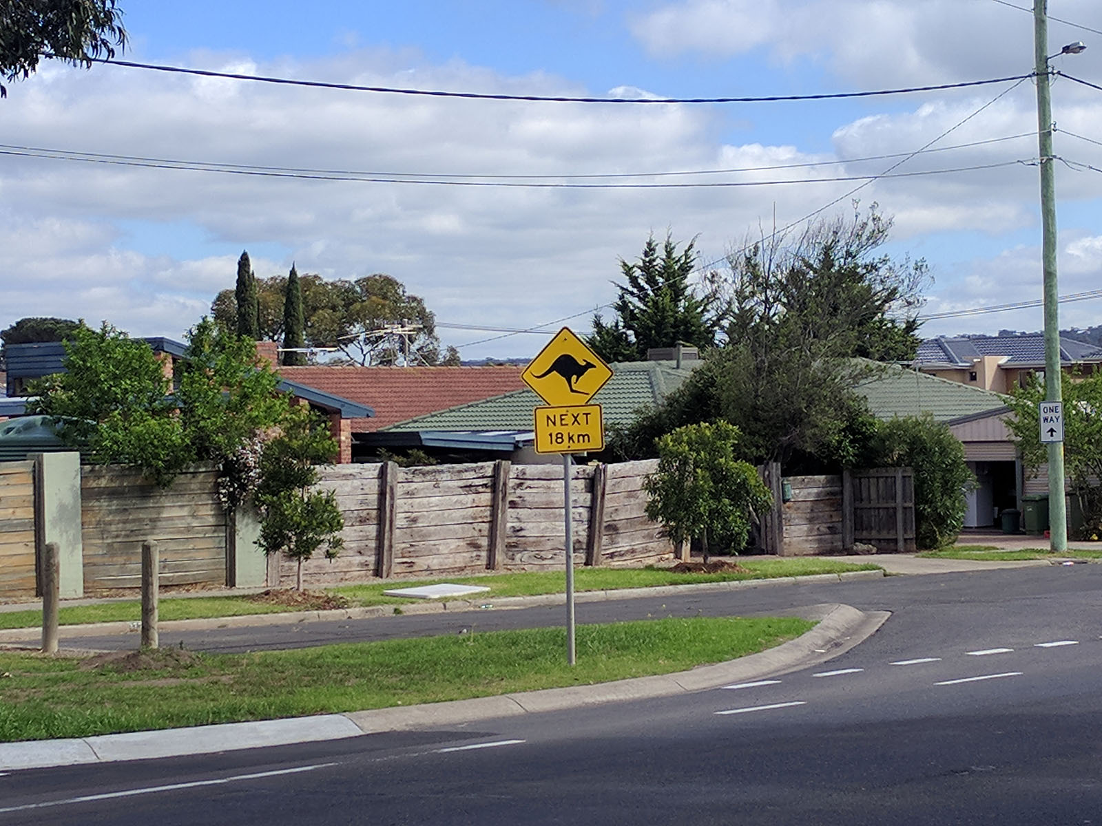 img3.jpg