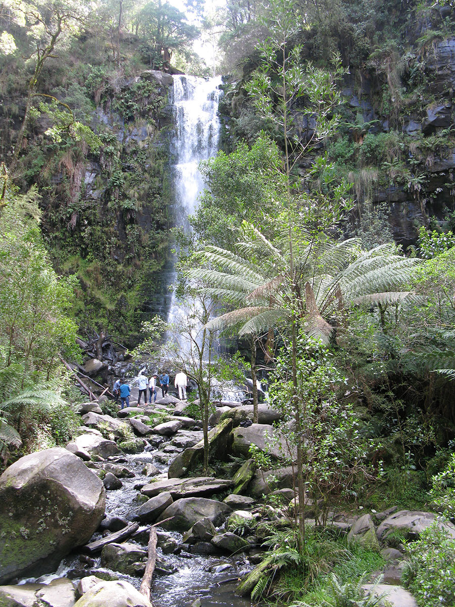 IMG7.JPG