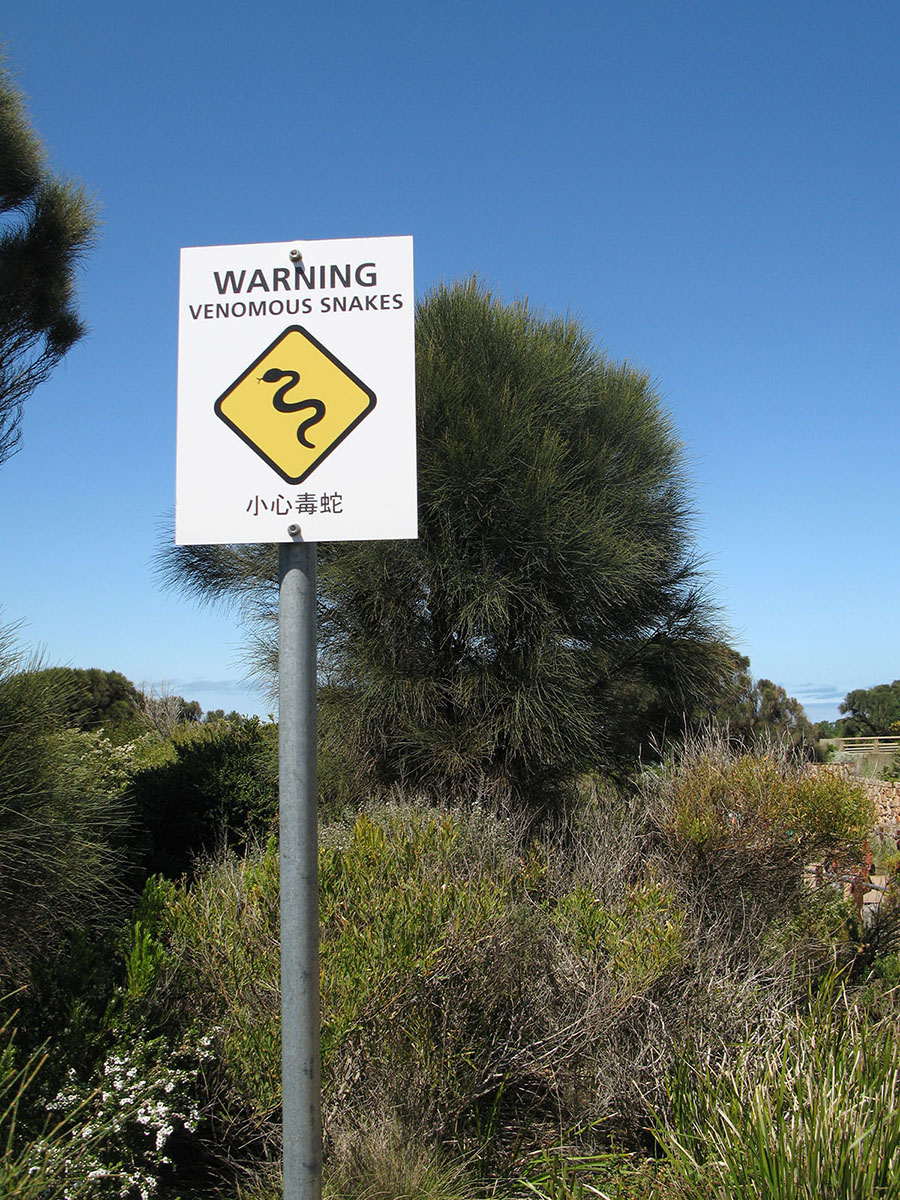 IMG17.JPG