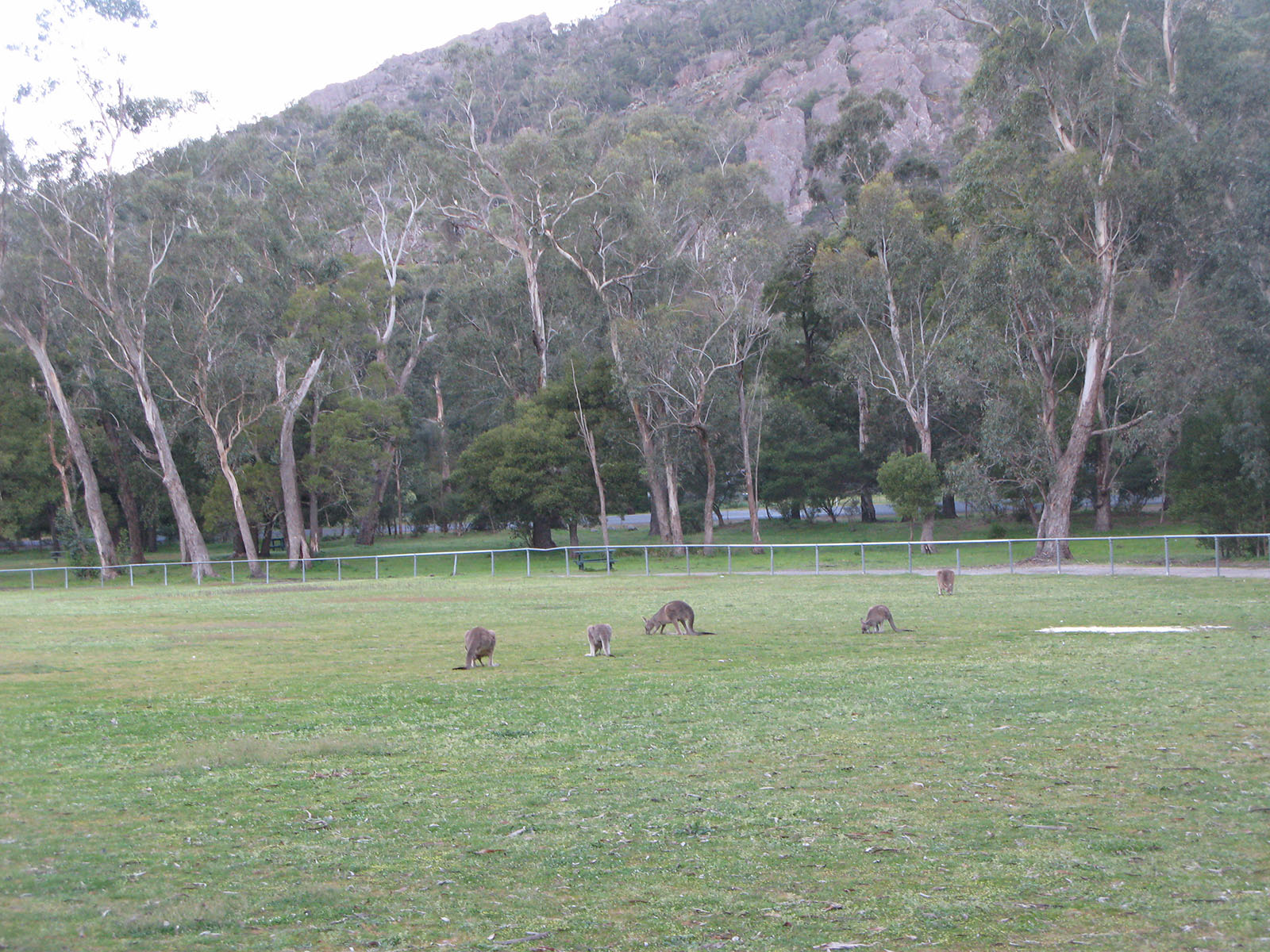 IMG37.JPG