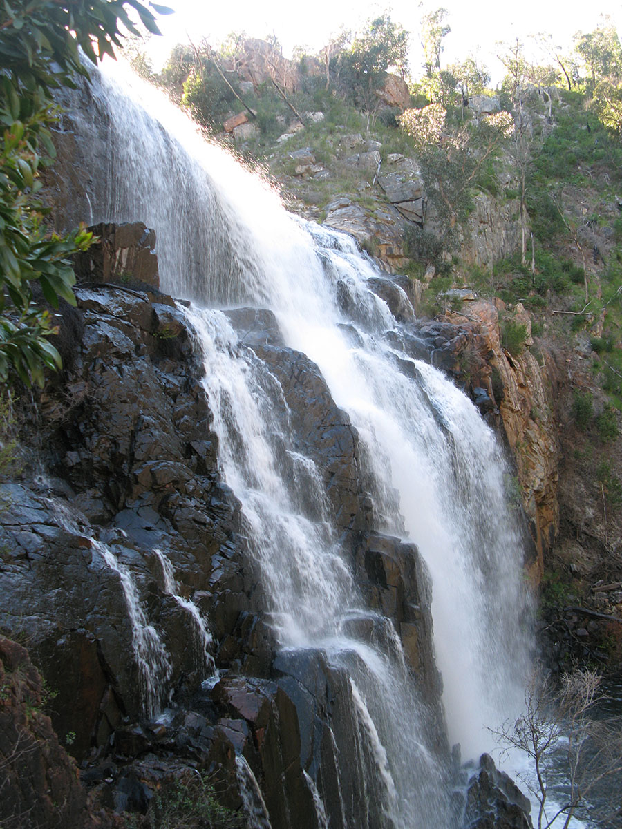 IMG40.JPG