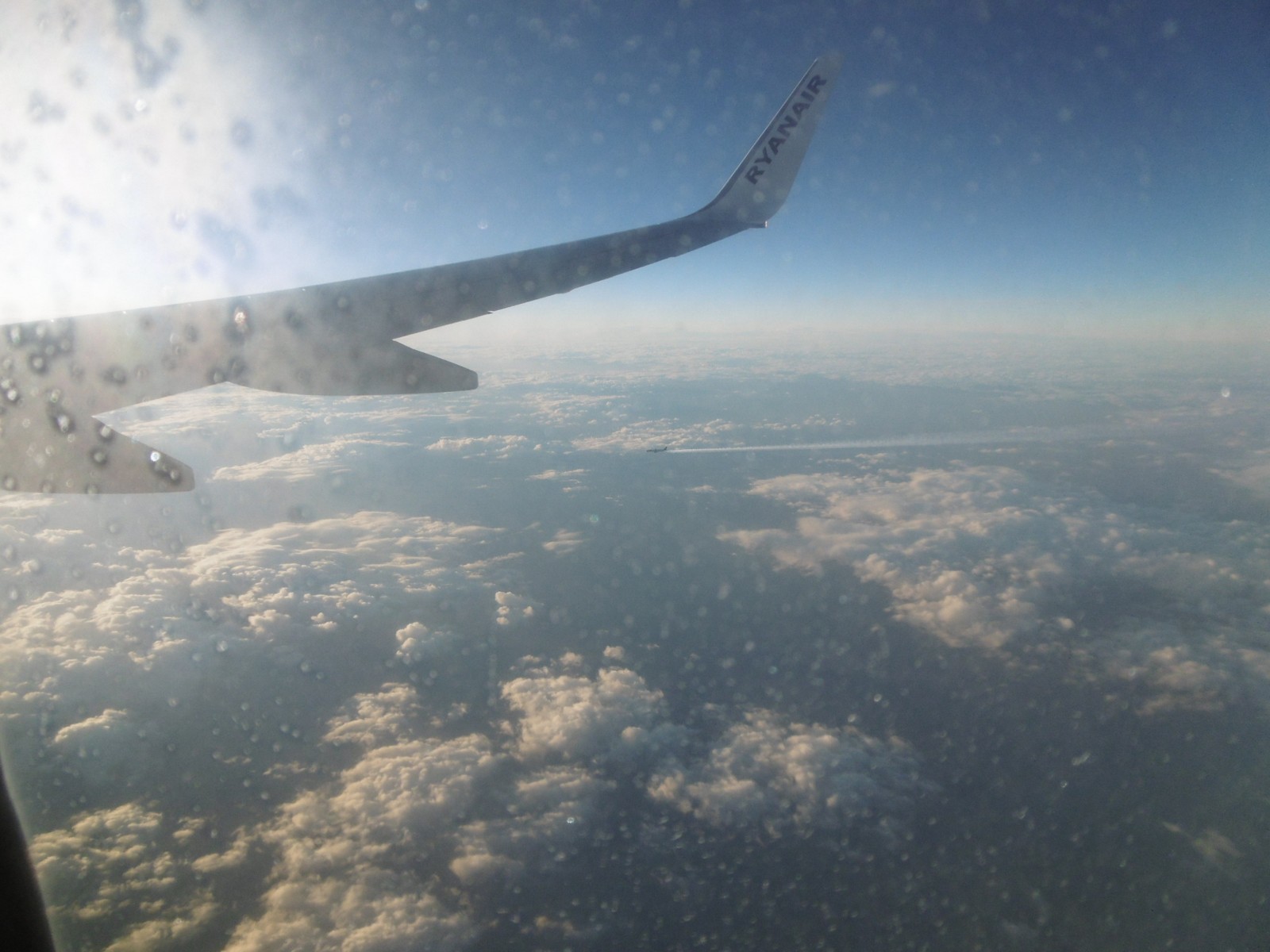 P1000849.jpg