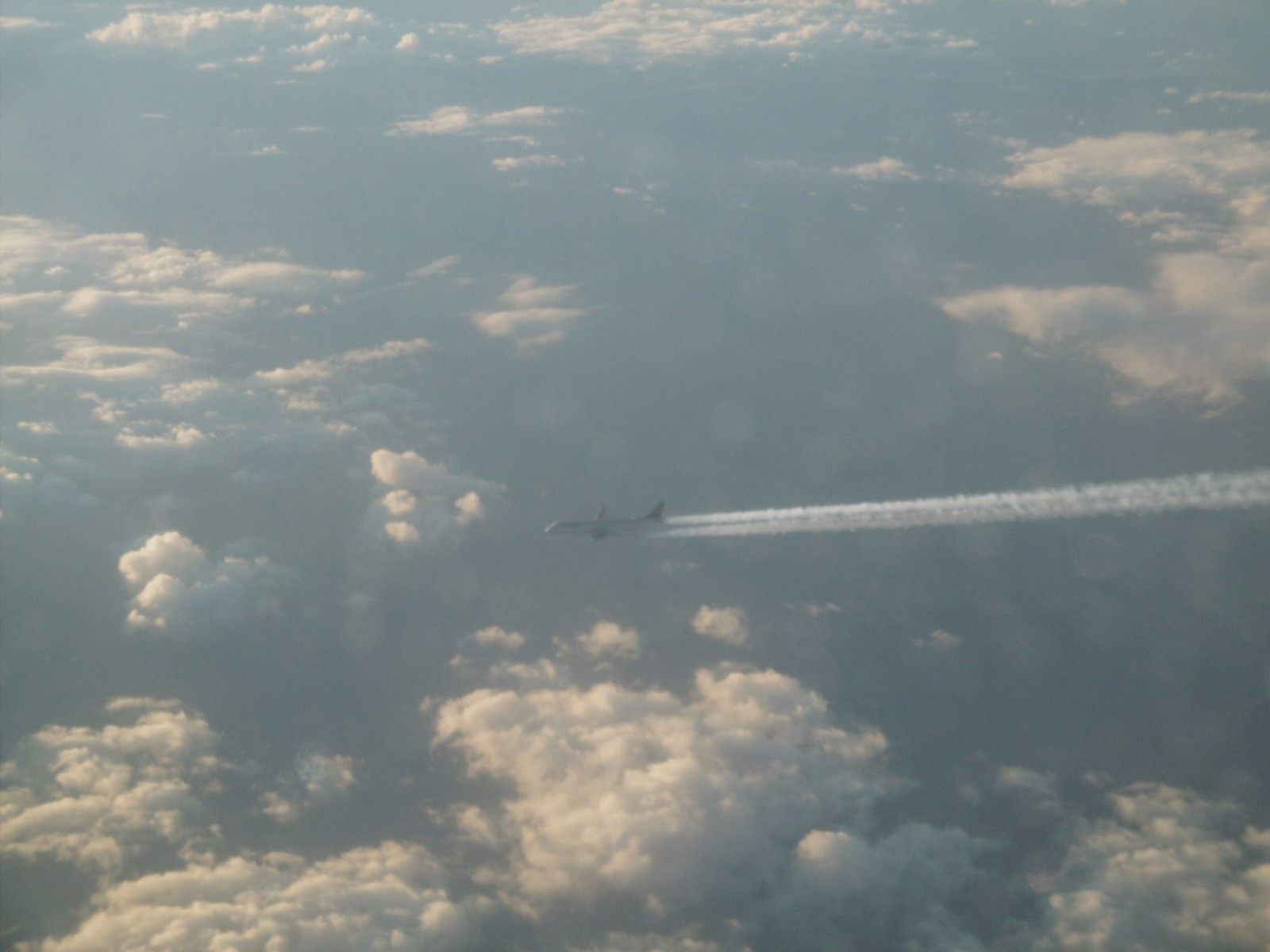 P1000850.jpg