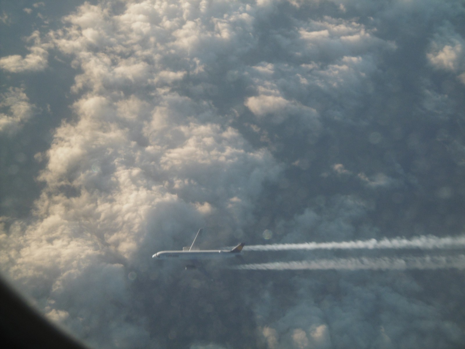P1000851.jpg