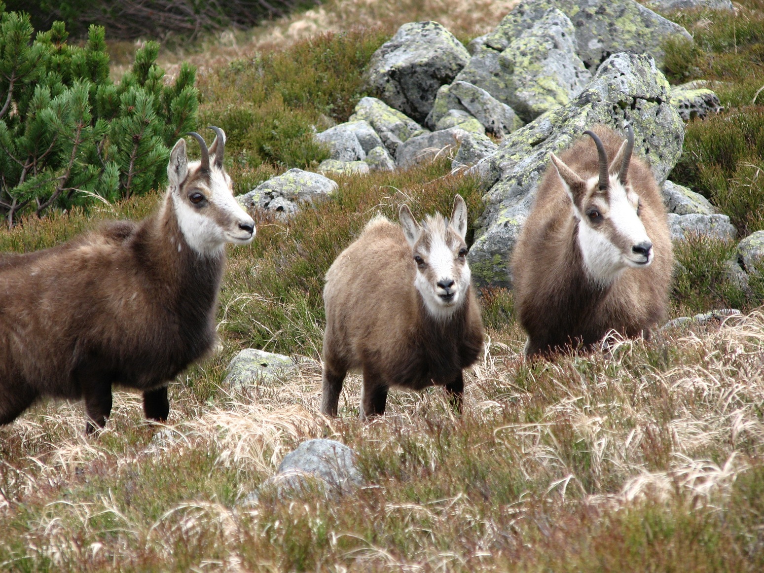 IMG_3637.JPG