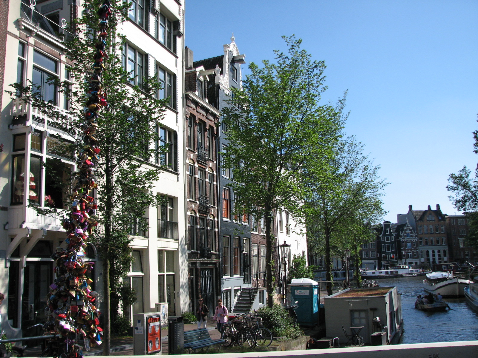 IMG_3764.JPG