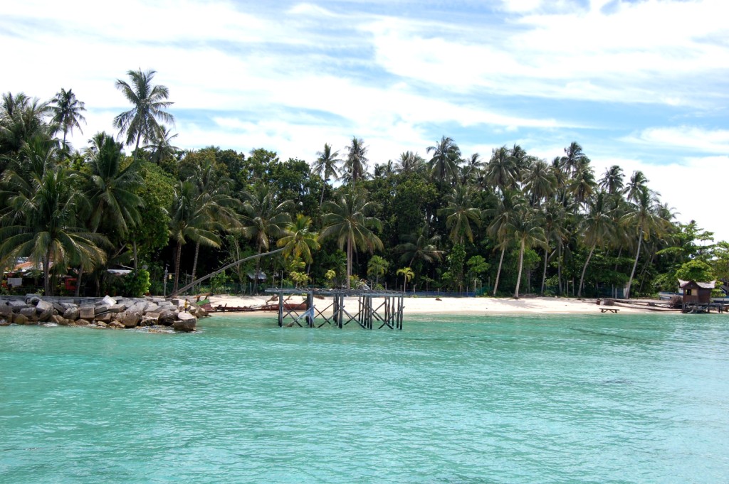 DSC_0001.JPG