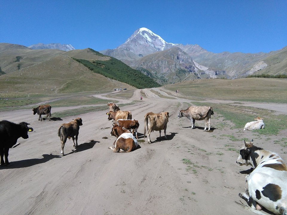 22 - Kazbegi.jpg