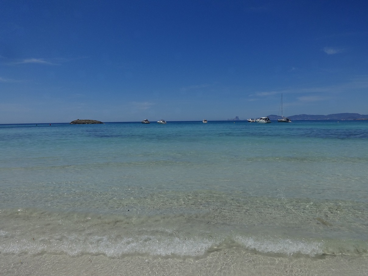 DSC07289.JPG